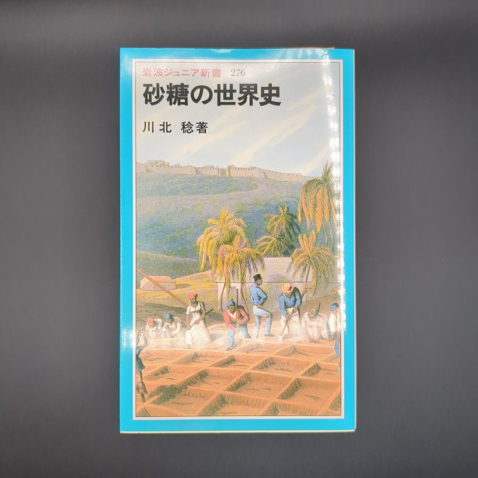 砂糖の世界史 砂糖の世界史／川北 稔｜岩波ジュニア新書 - 岩波書店