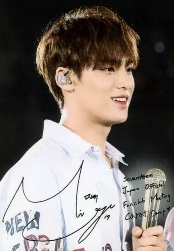 中古】生写真(男性) SEVENTEEN/MINGYU(ミンギュ)/ライブフォト・印刷