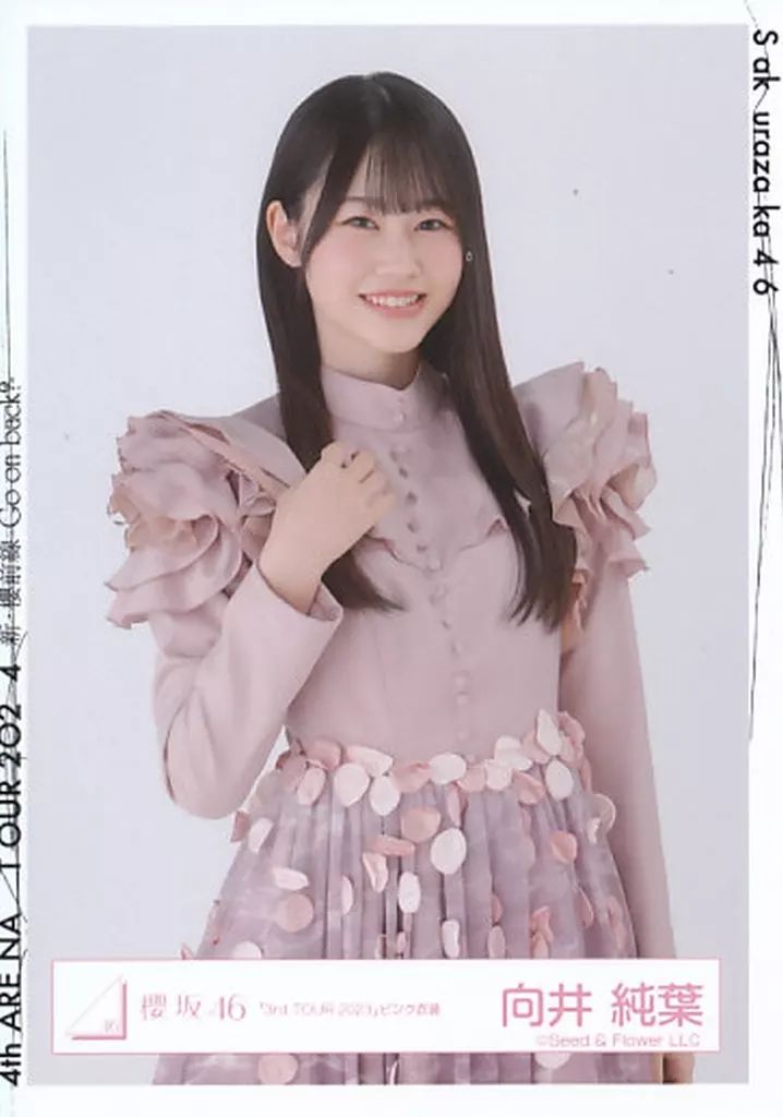 中古】生写真(乃木坂46) 向井純葉/上半身/櫻坂46ランダム生写真【「3rd