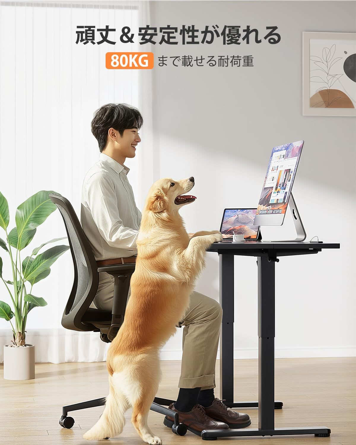 ErGear 電動昇降式デスク ロータイプ 高さ48-72cm コンセント&USB