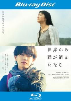 【廃盤】『猫が教えてくれたこと』 Blu-ray Amazon.co.jp: 猫が教えてくれたこと: ミュージック