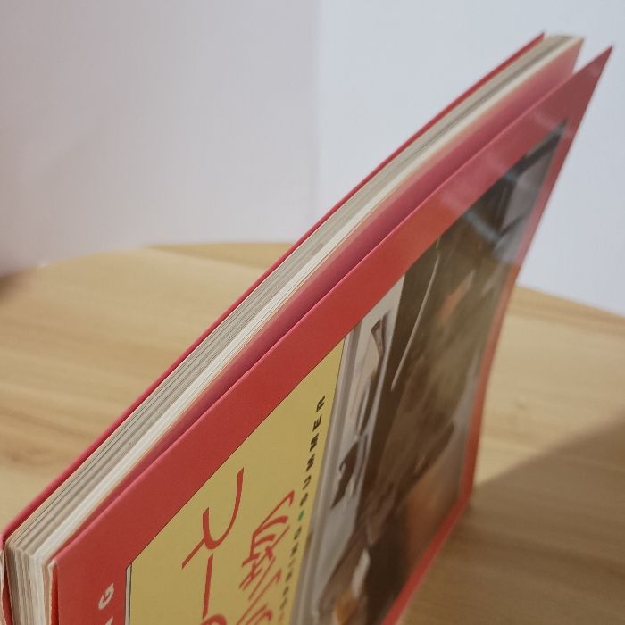 メルヘンセーターと暮らしの小物 (石井麻子のニットブック) 文化出版局