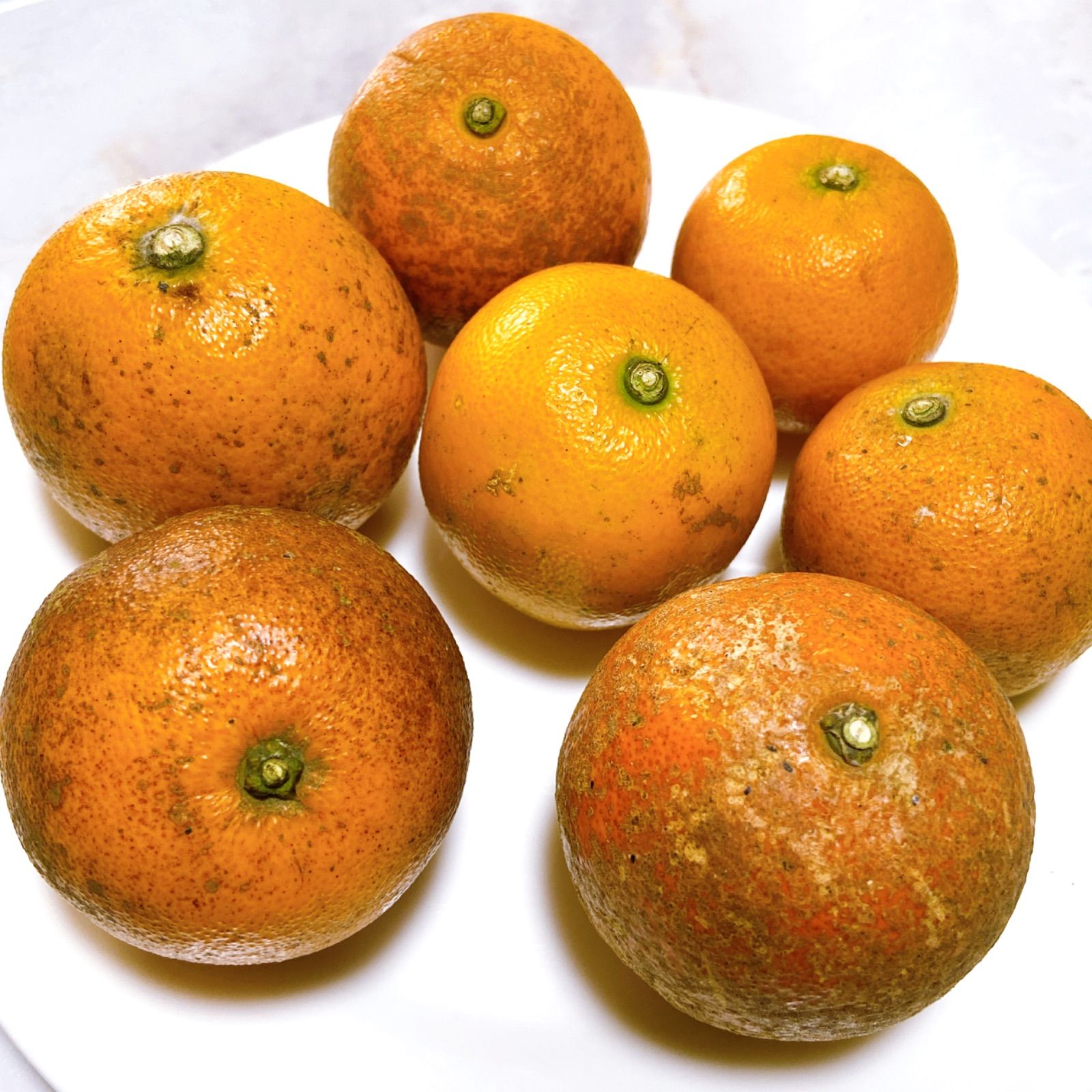 10kg】奄美大島産 完熟たんかん 訳あり加工用 - メルカリ