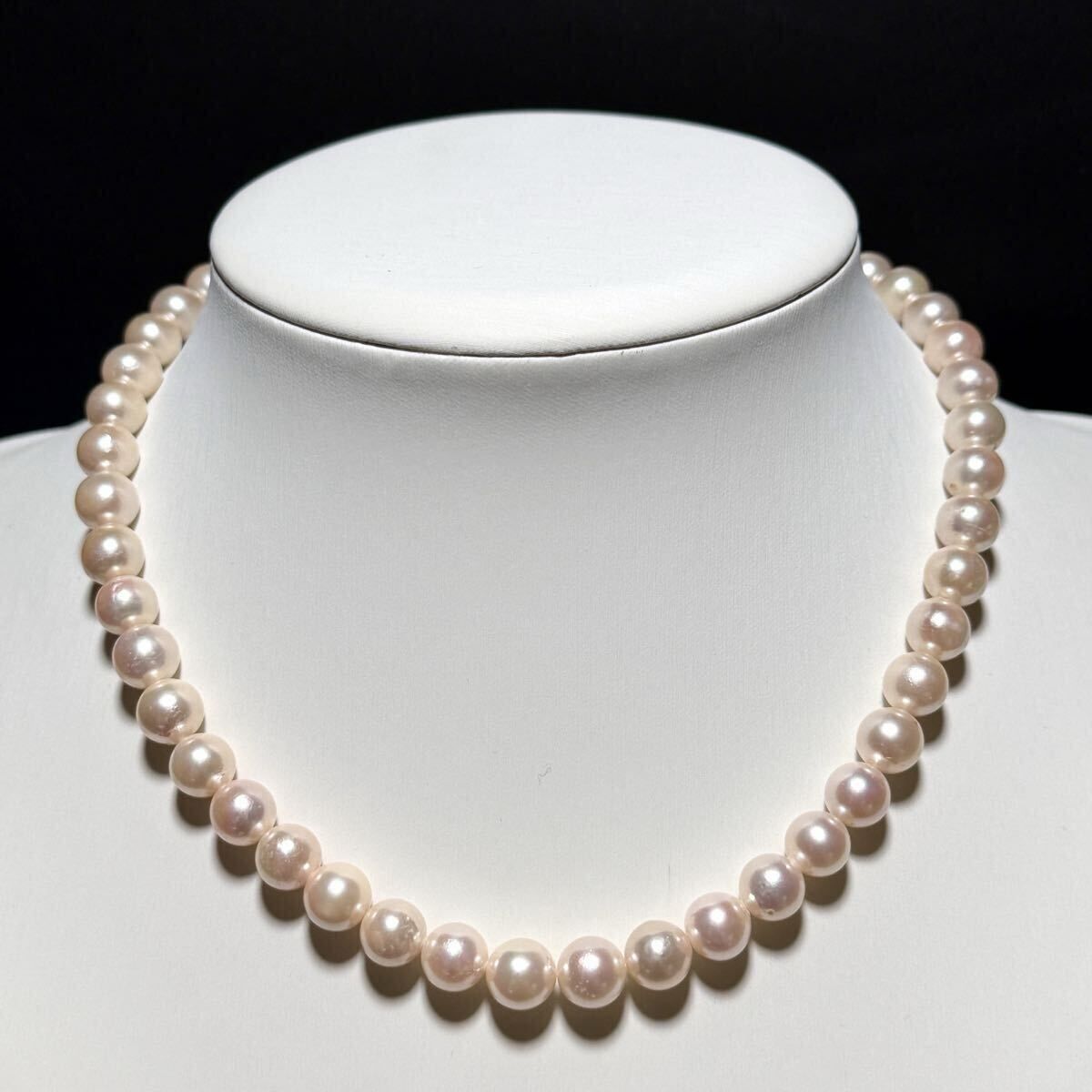 照り◎ ジュエリーマキ アコヤパール ホワイト系 ネックレス 8.5〜9.0