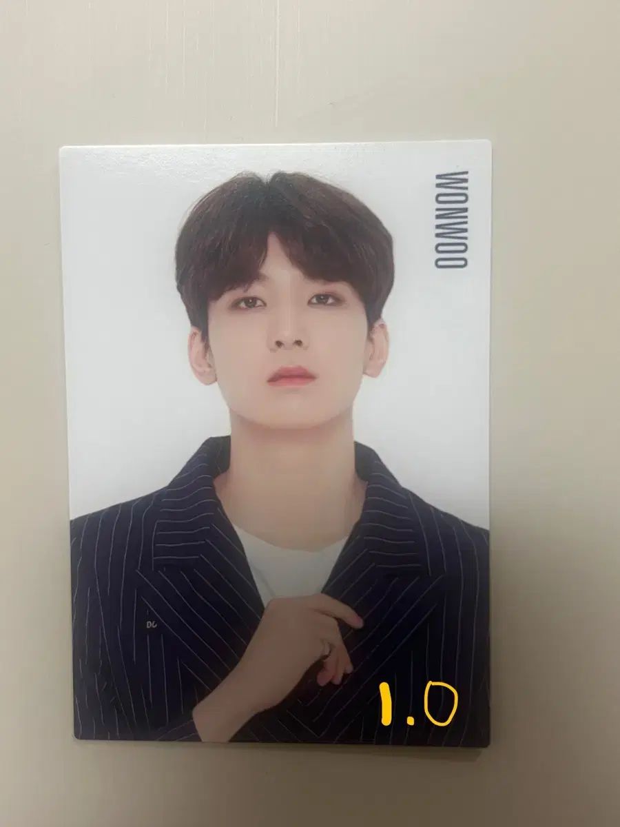 SEVENTEEN ウォヌ  トレカ コンプ WONWOO SEVENTEEN Wonwoo DREAM Limited Official Photocard A B C D S F