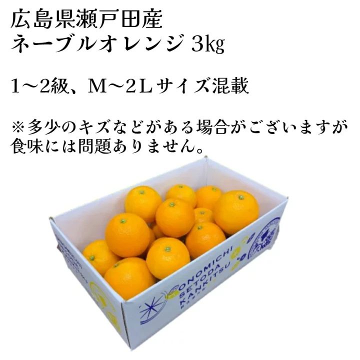 5箱限定【広島県瀬戸田産ネーブルオレンジ3kg】 箱入り 1〜2級 M