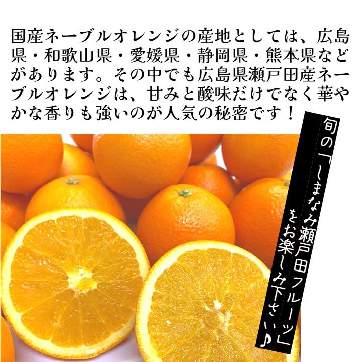 5箱限定【広島県瀬戸田産ネーブルオレンジ3kg】 箱入り 1〜2級 M