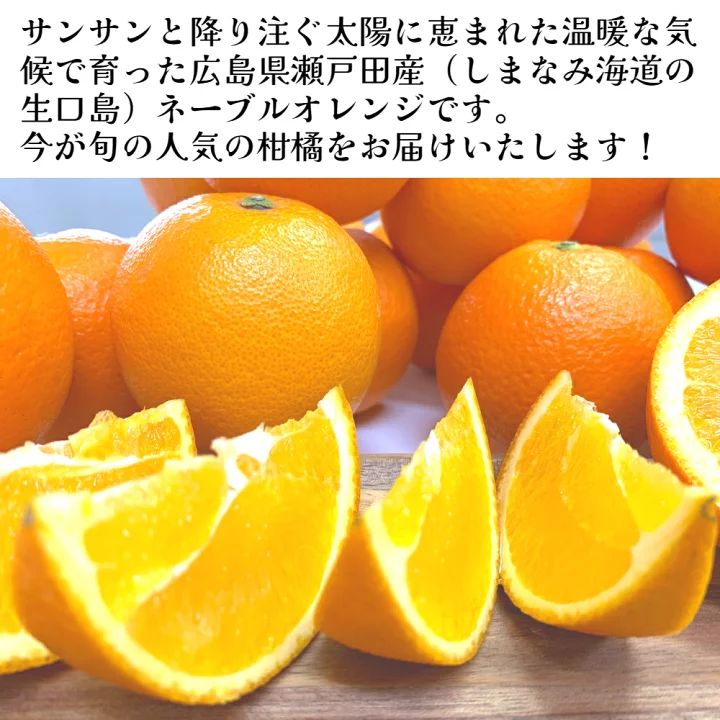 keiさん専用！！☆ネーブルオレンジ☆　15キロ(箱込み)　広島県瀬戸田産 5箱限定【広島県瀬戸田産ネーブルオレンジ3kg】 箱入り 1〜2級 M