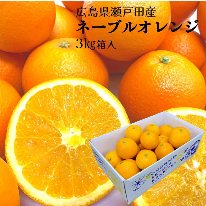 ネーブルオレンジ 5箱限定【広島県瀬戸田産ネーブルオレンジ3kg】 箱入り 1〜2級 M