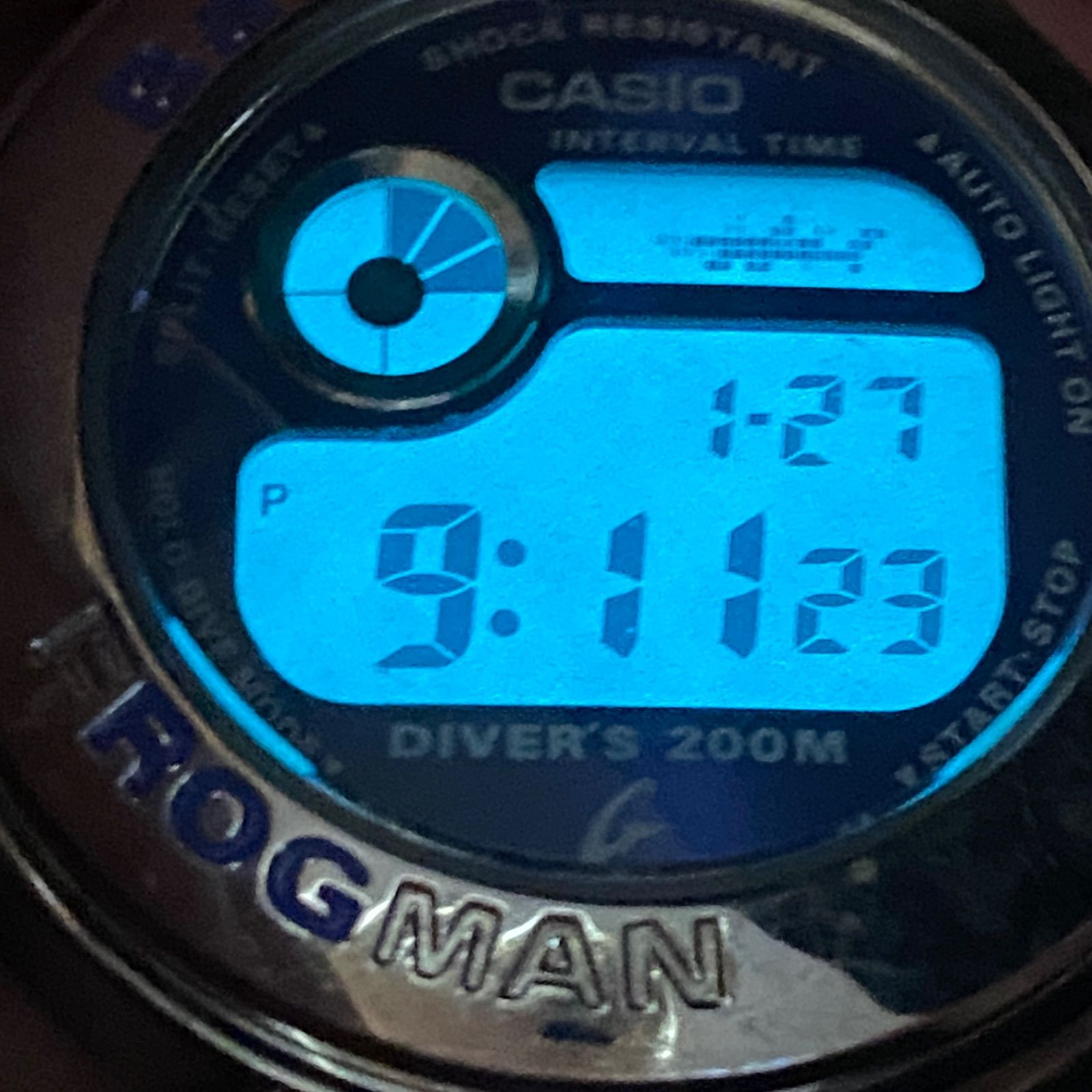 カシオ CASIO BGW-100 フロッグマン FROGMAN baby-G レディース 腕時計