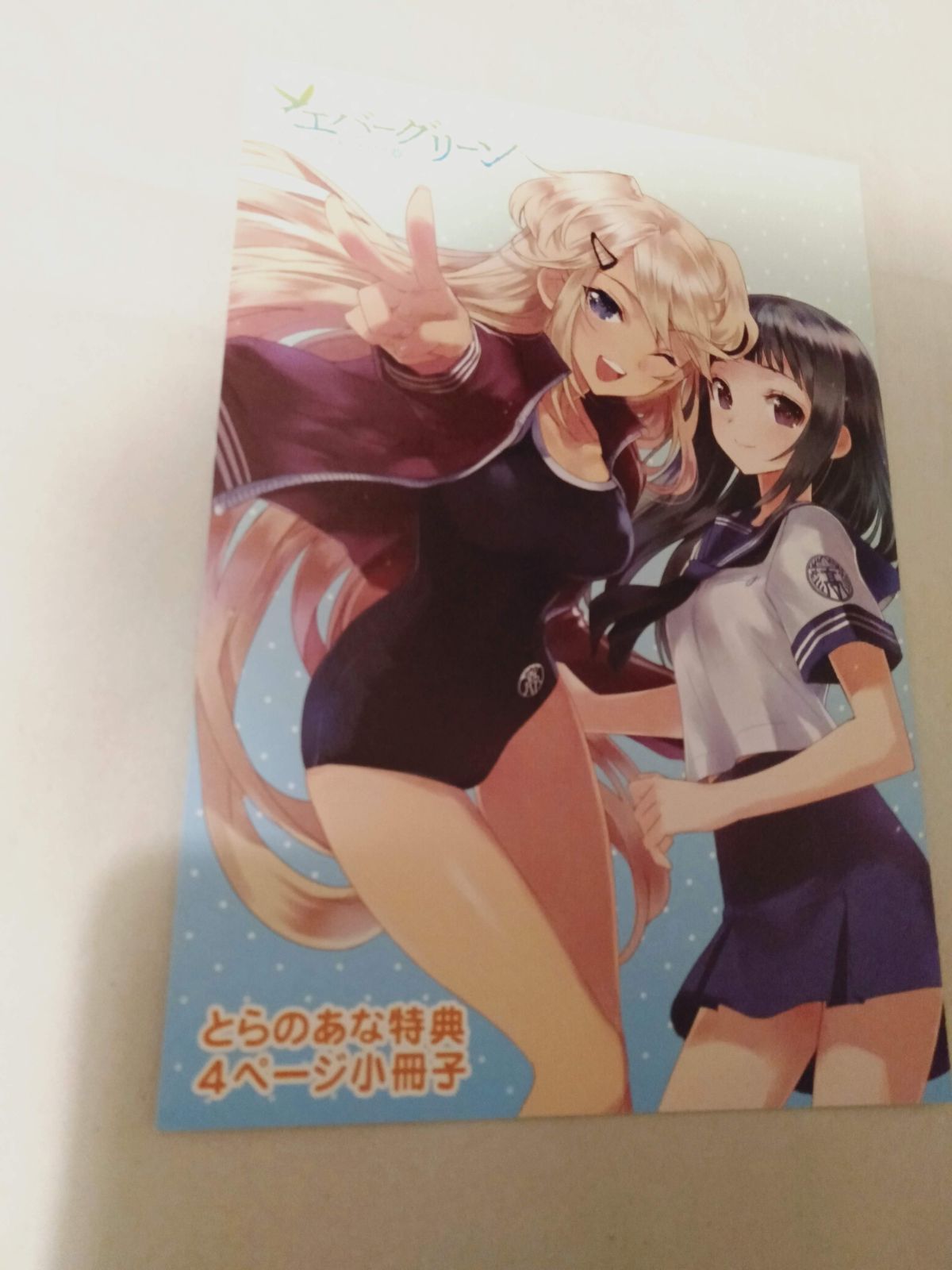 リーフレットのみ】エバーグリーン 3巻 とらのあな特典 4ページ小冊子