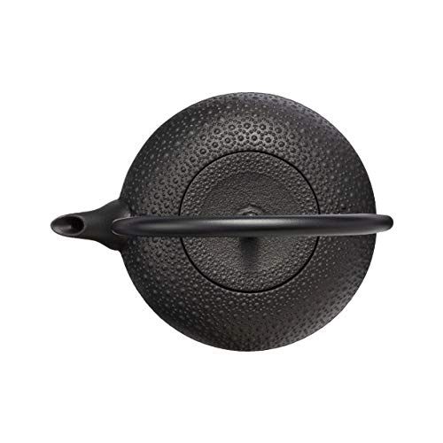 及源 南部鉄器 鉄瓶 東雲亀甲 1.0 L IH対応 H-200