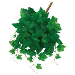 ASCA アスカ グレープリーフブッシュ A-44405-051 A 入数 12