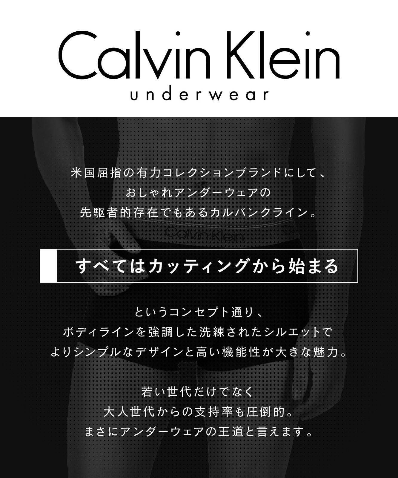 新品 未使用 並行輸入 Calvin Klein カルバンクライン 下着 【3枚セット】MICRO STRETCH メンズ ローライズボクサーパンツ nb1289 【A】ブラックレッド2セット
