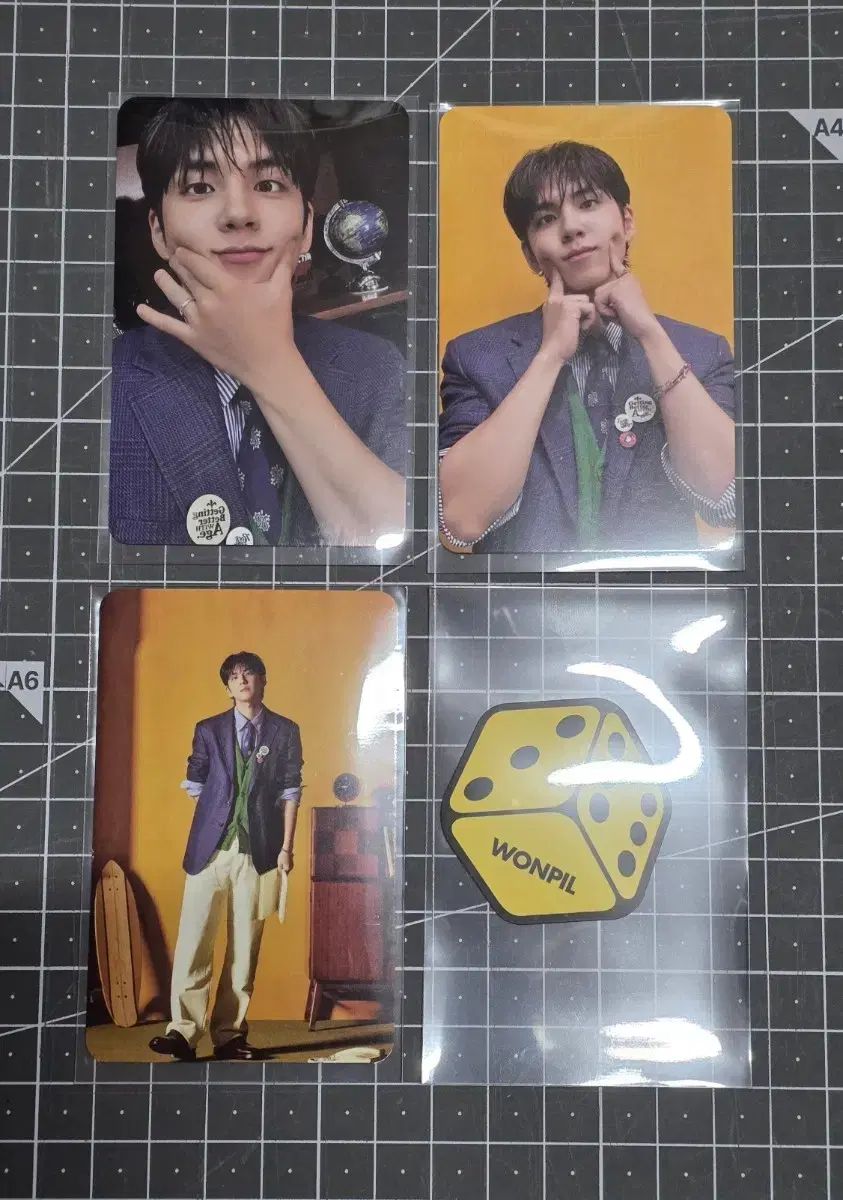 DAY6 ウォンピル(WONPIL) The Decade ネモ NEMO ウール DICE ENTWURF