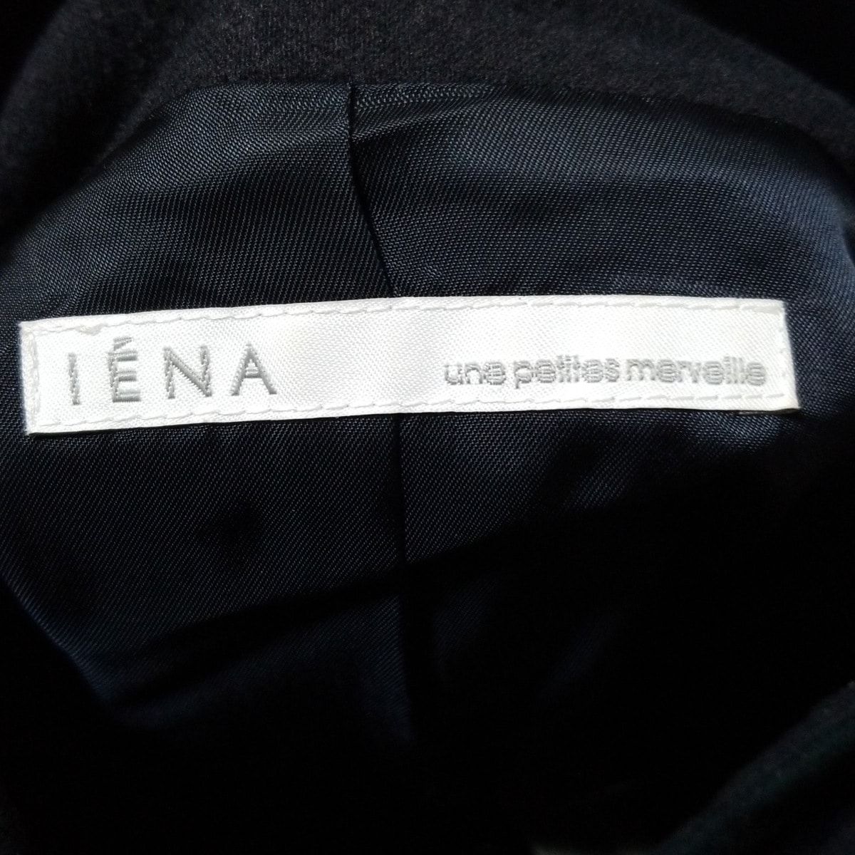 IENA(イエナ) ポンチョ レディース - ダークグリーン×黒 チェック柄/秋  