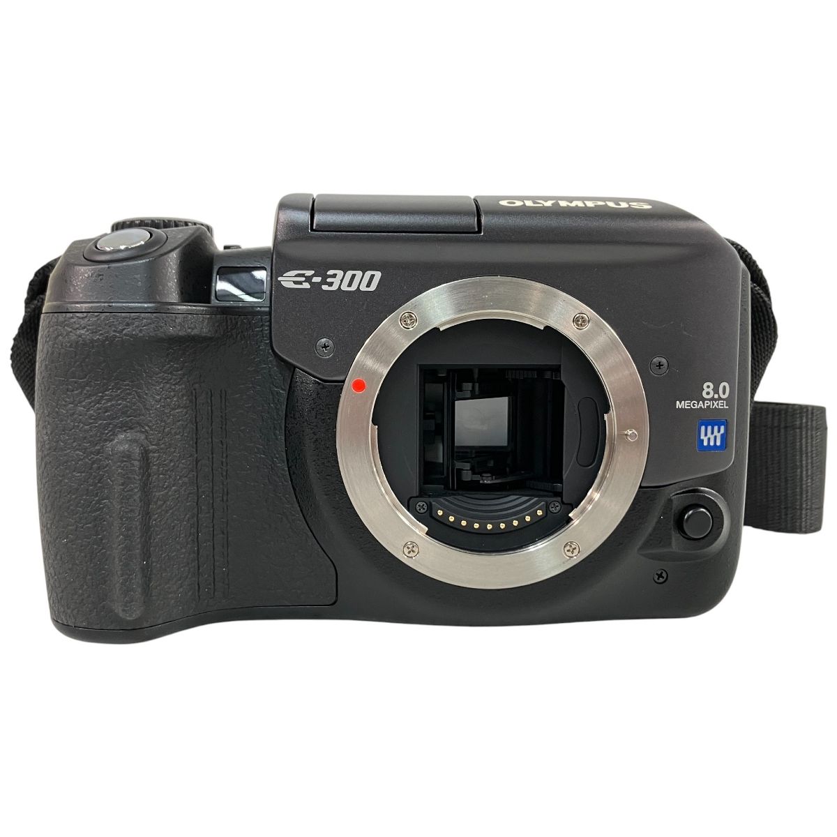 OLYMPUS E-300 オリンパス デジタル一眼レフカメラ ボディ 写真撮影