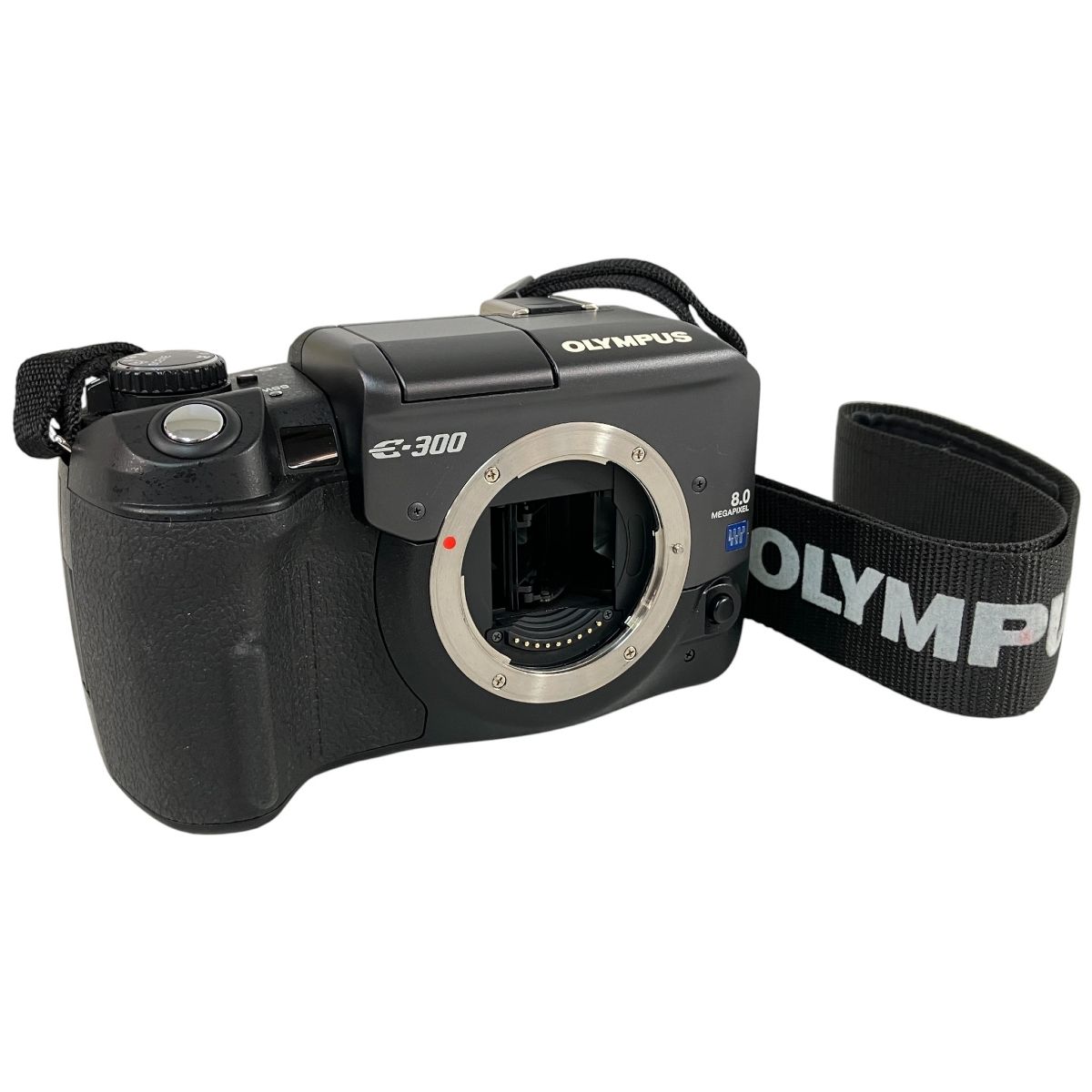 OLYMPUS E-300 オリンパス デジタル一眼レフカメラ ボディ 写真撮影