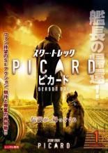 ● スター トレック ピカード 14巻セット シーズン1 2 ファイナル レンタル落ち DVD