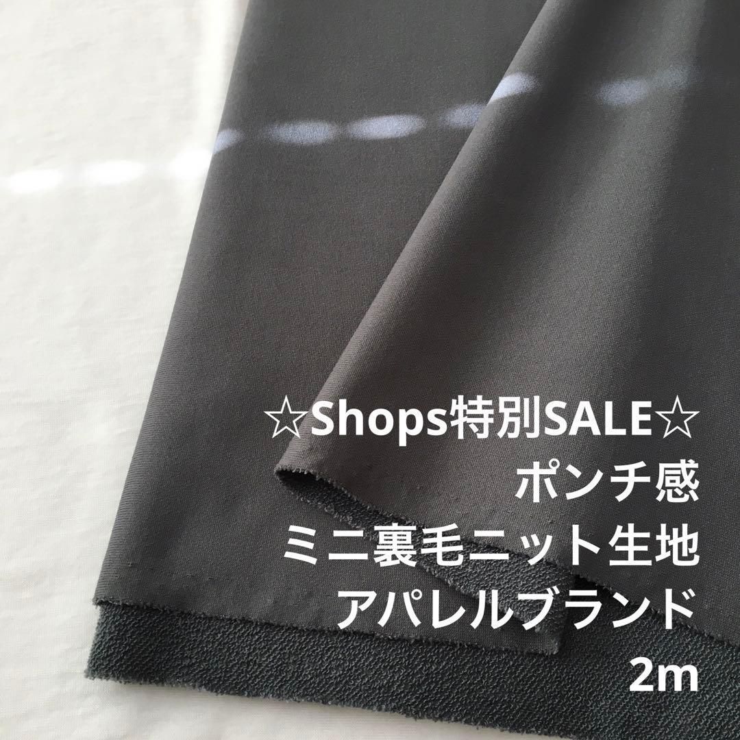 C6X/4550◇2m 特別SALE/ポリエステルミニ裏毛ニット生地/生地のM
