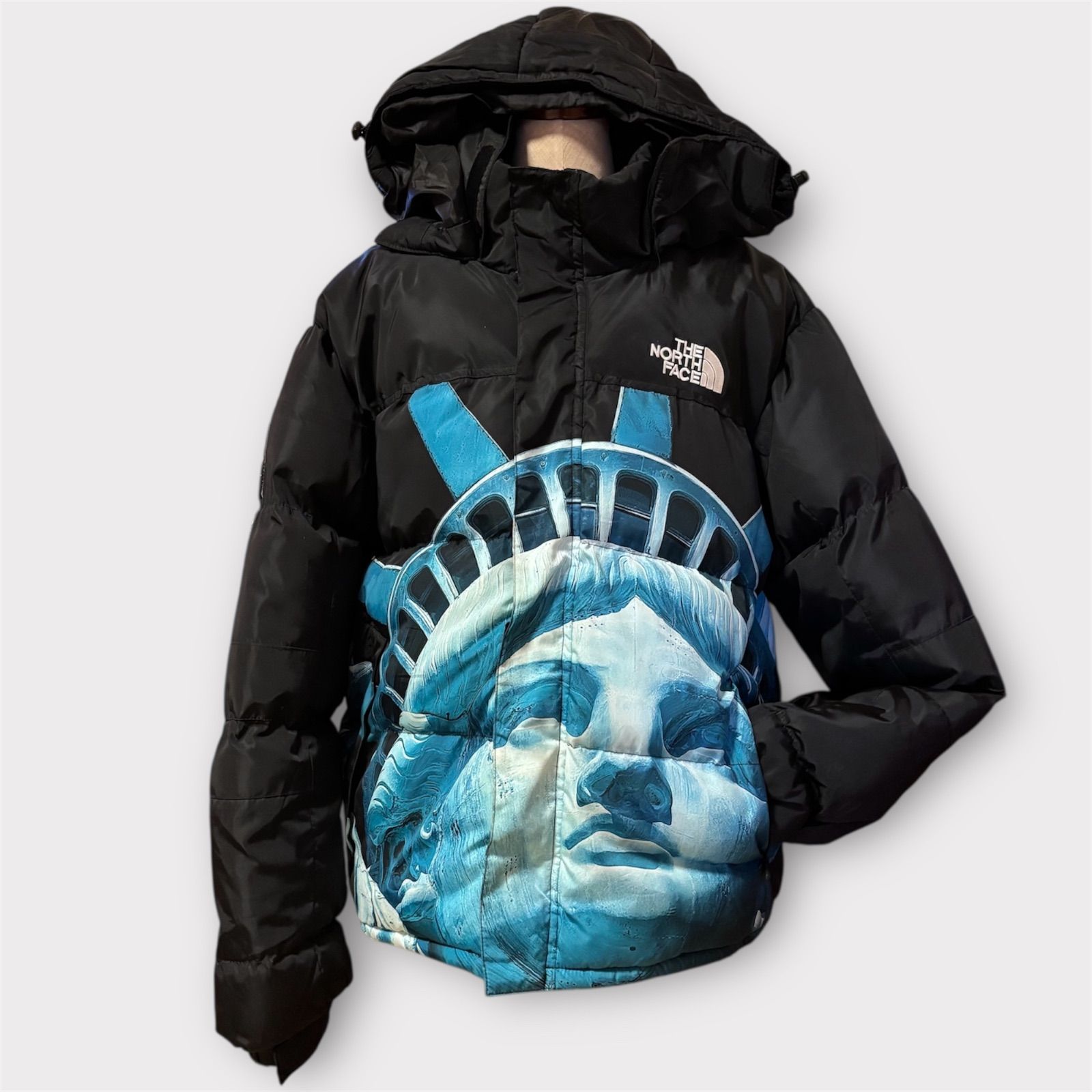 THE NORTH FACE シュプリュームダウンジャケット 自由の女神 THE NORTH FACE 自由の女神 バルトロ ダウンジャケット(Statue of