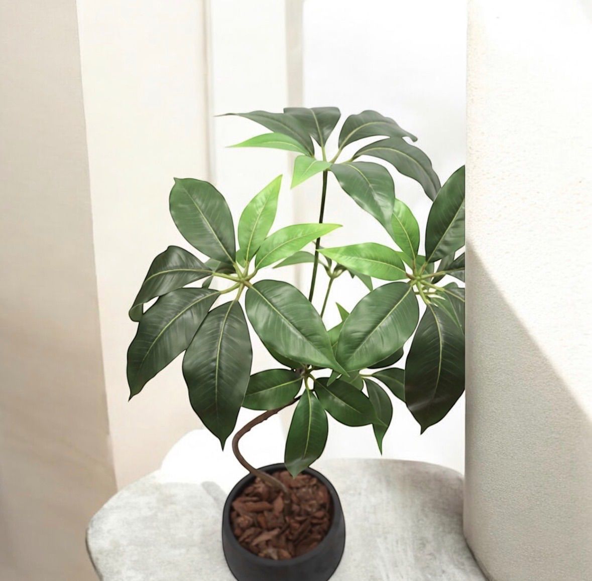 光触媒 人工観葉植物 ウォールグリーン フェイクグリーン ナチュラルツ