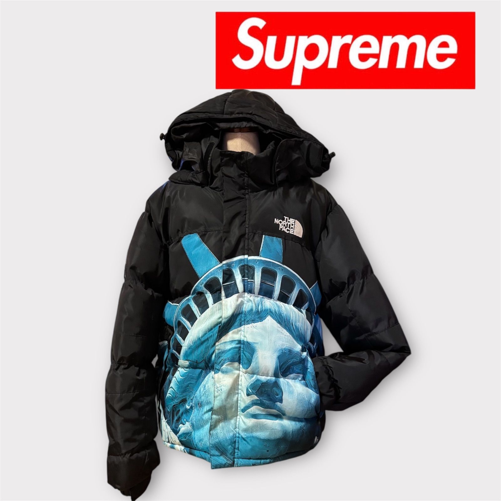 THE SupremeThe North Face 自由の女神ダウンジャケット NORTH FACE