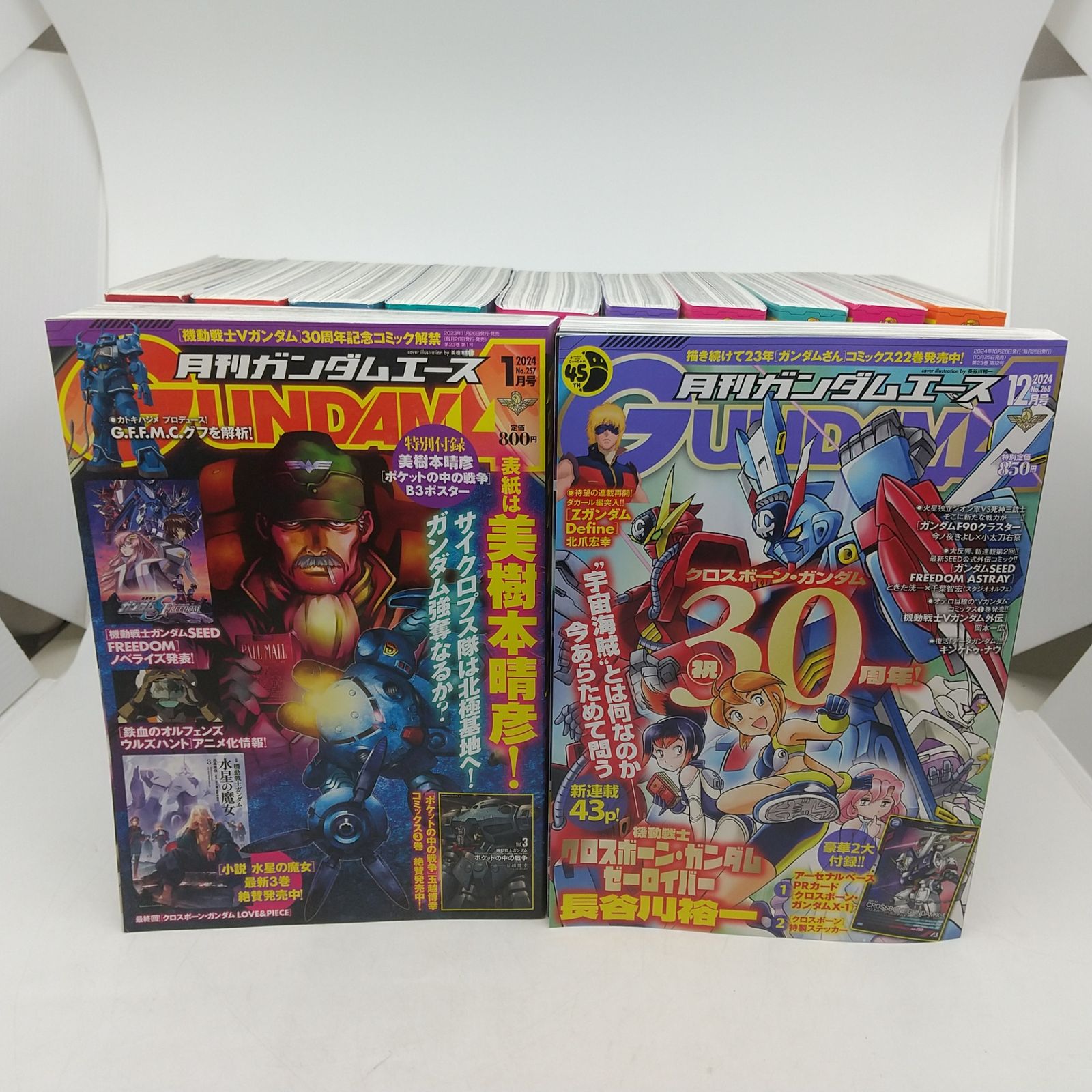 2024年セット】月刊ガンダムエース 2024年分12冊セット 全巻特別付録