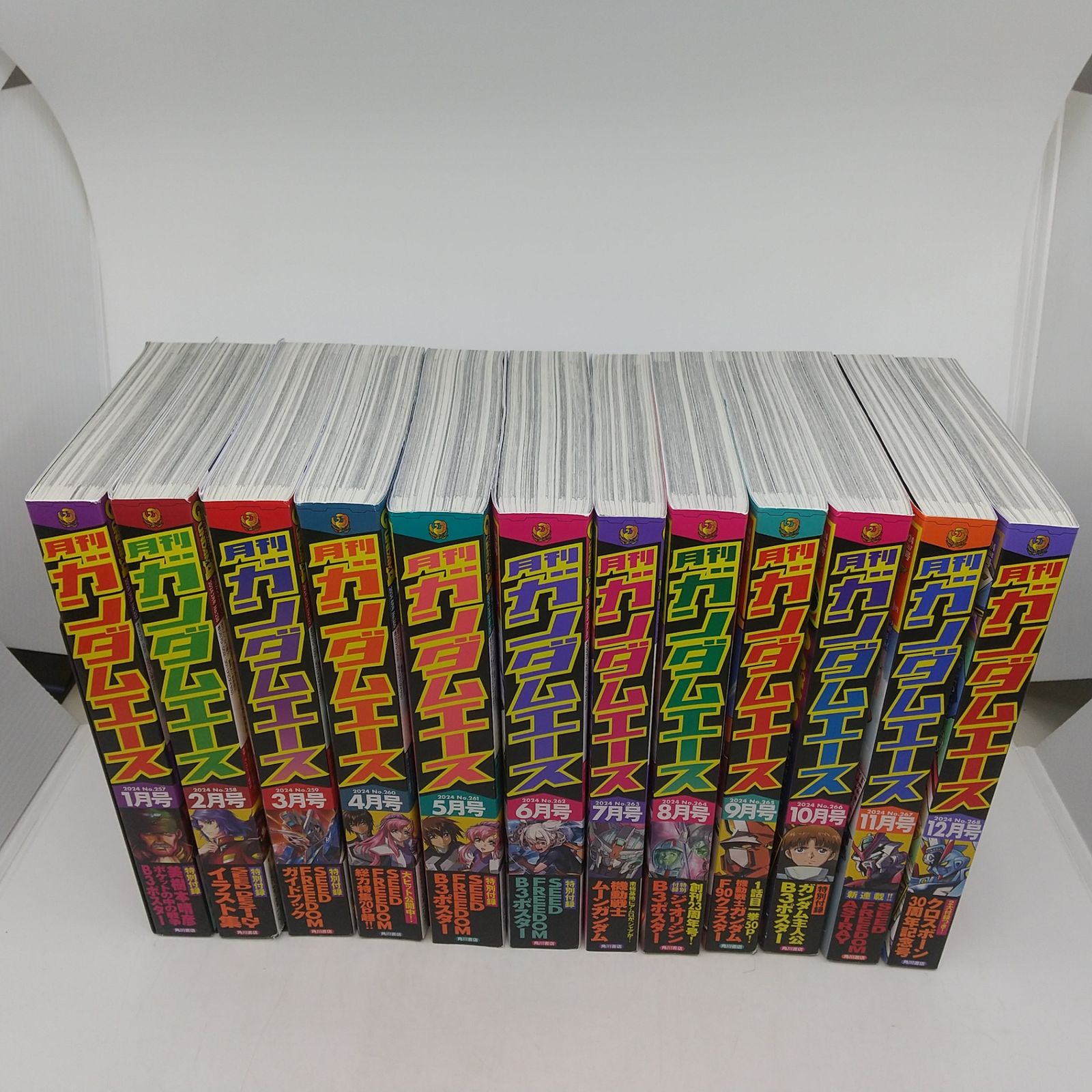 2024年セット】月刊ガンダムエース 2024年分12冊セット 全巻特別付録
