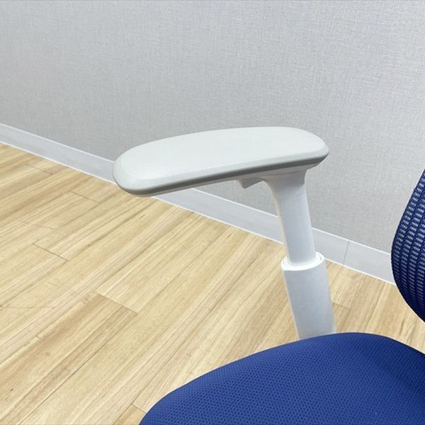 オカムラ シルフィー