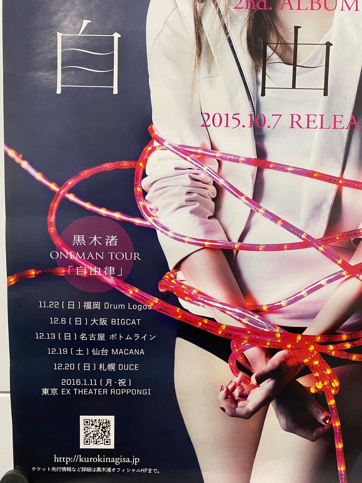 フライヤー 2015年