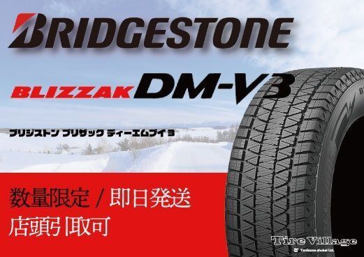 新品】BS BRIDGESTONE BLIZZAK DM-V3 265/50R19 110Q 19インチ 