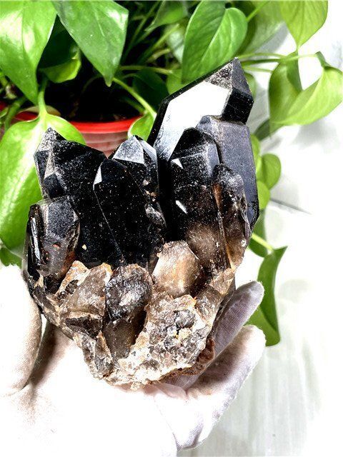 クラスターYT8C6 231C18C