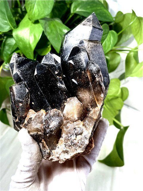 AAA級 魔除け 天然モリオン 黒水晶 クラスターYT8C6 231C18C