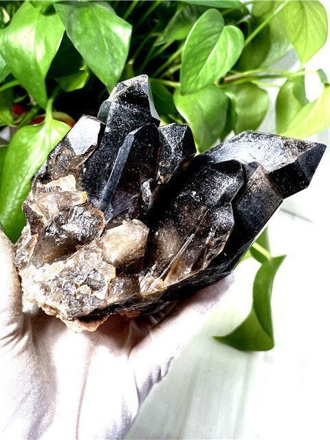  AAA級 魔除け 天然モリオン 黒水晶 クラスターYT8C6 231C18C 鉛筆立て 置物 インテリア小物