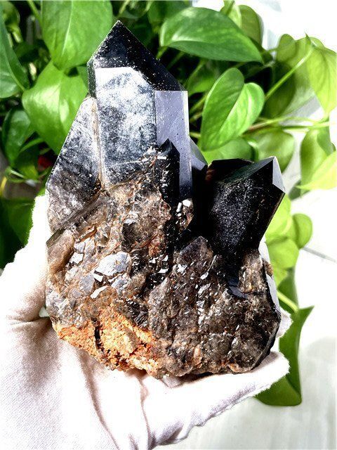 天然モリオン 黒水晶