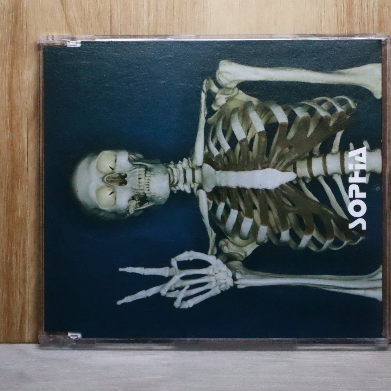 国内盤CD☆ソフィア/SOPHIA□ 進化論～GOOD MORNING!-HELLO!21st