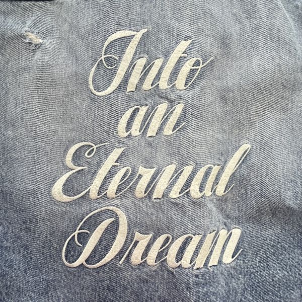 ◇ ダブルスタンダードクロージング ビックデニムシャツジャケット