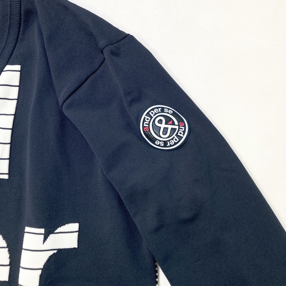 サイズ：L AND PER SE アンパスィ Vネック ニットセーター バック