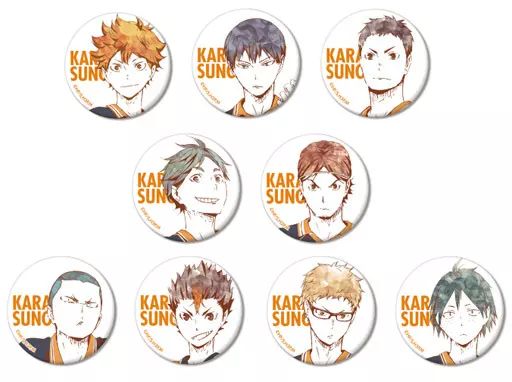 バッジ・ピンズ(キャラクター) 全9種セット 「ハイキュー!! トレーディング Ani-Art 缶バッジ Ver.A」