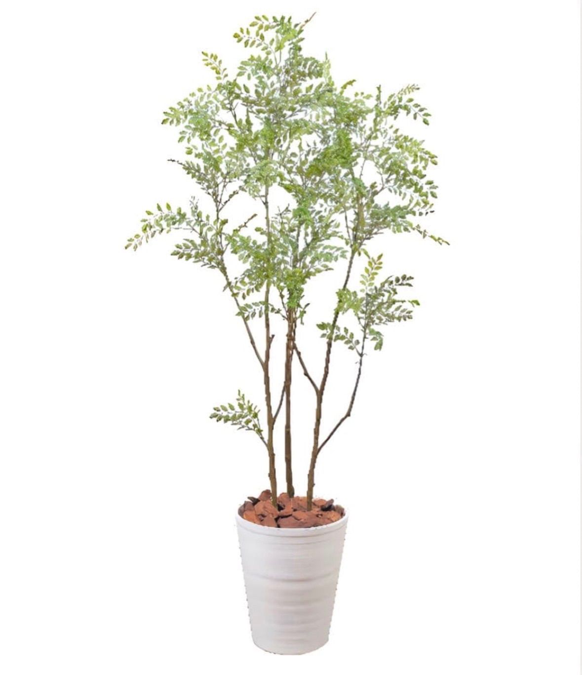 光触媒 人工観葉植物 ウォールグリーン フェイクグリーン シマトネリコ