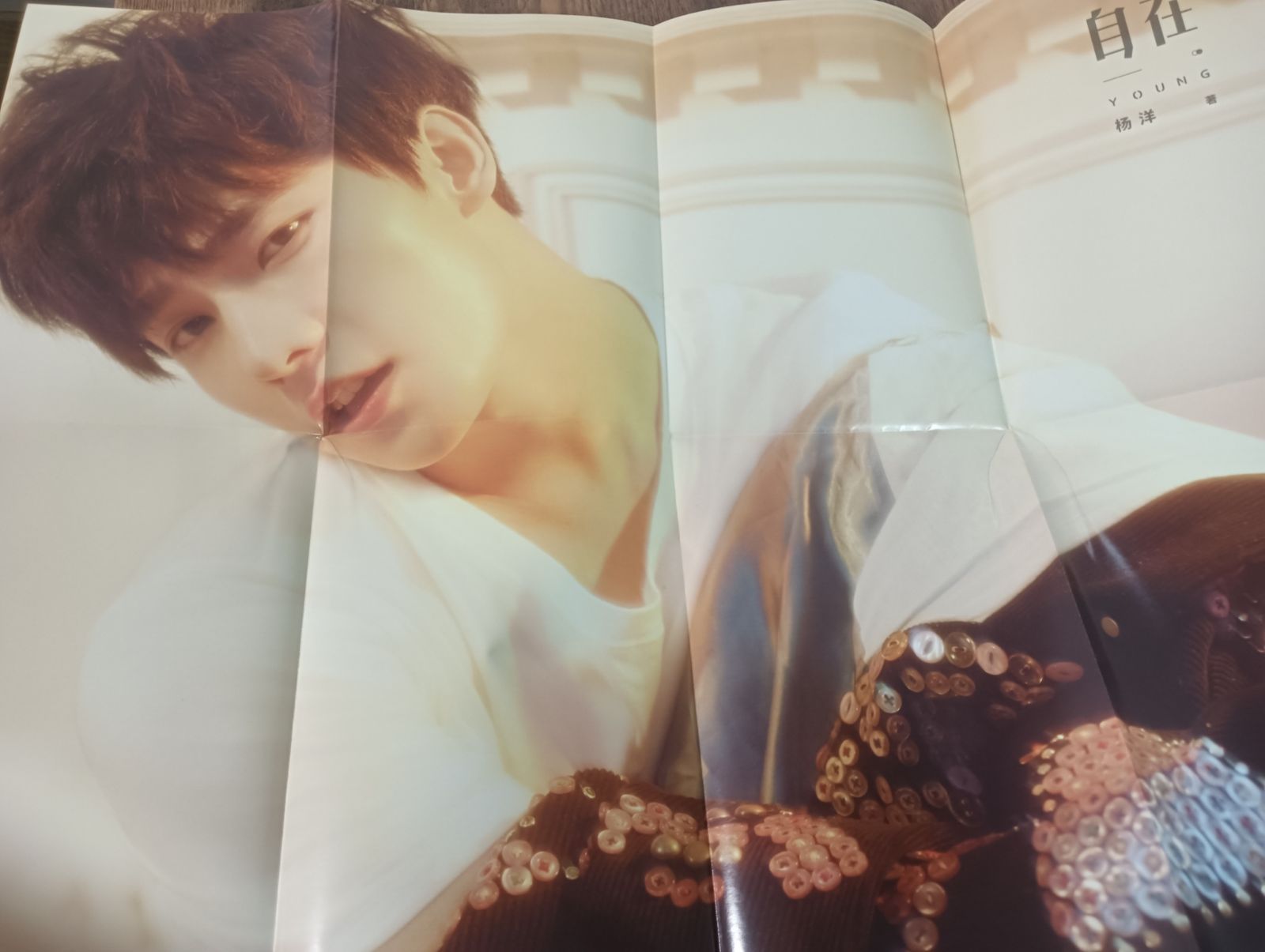 お値下げ中※※ 中国 ヤンヤン 楊洋 写真集 自在 YOUNG ポスター＆小冊子