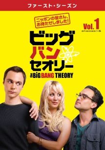 ● ビッグ バン セオリー 28巻セット シーズン1~5 レンタル落ち DVD