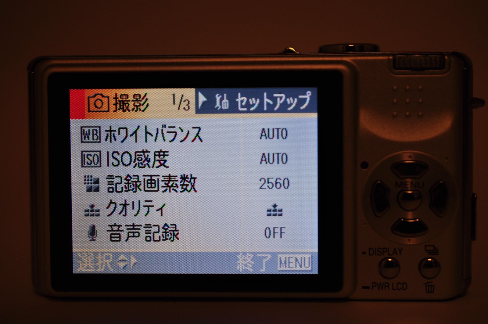Panasonic LUMIX DMC-FX7 DIGITAL Camera シルバー デジカメ デジタル