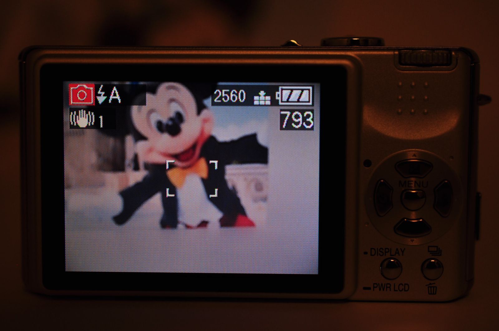 Panasonic LUMIX DMC-FX7 DIGITAL Camera シルバー デジカメ デジタル