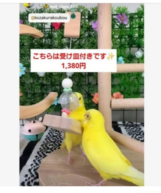 ss3⭐ 吊り下げタイプのフォージングボール バードトイ インコ フォー