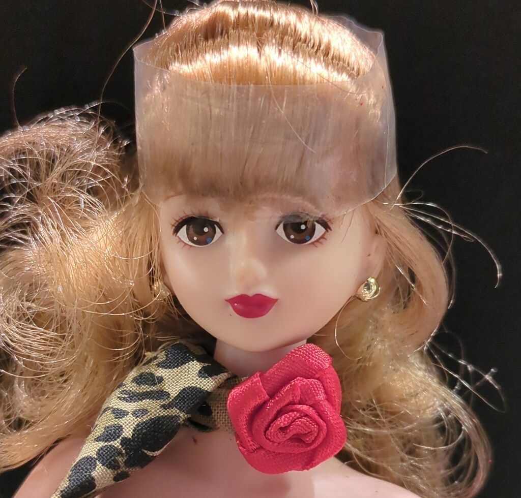 タカラ フォトジェニックジェニー ジェニーフレンド シオン 09系II