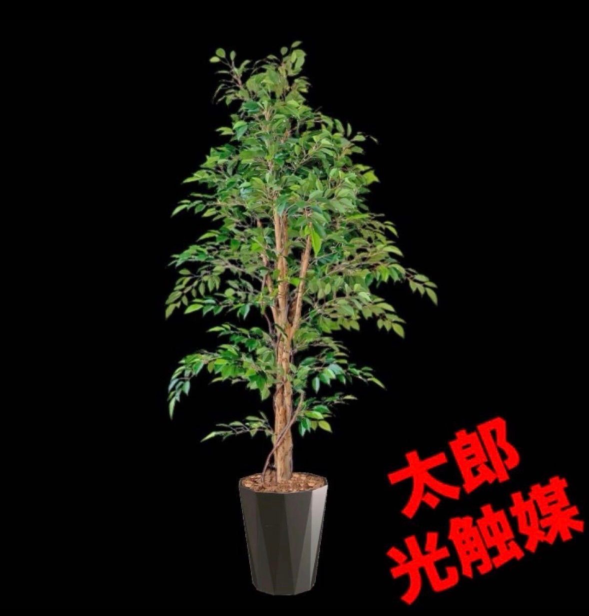 光触媒 人工観葉植物 ウォールグリーン フェイクグリーン ニュー