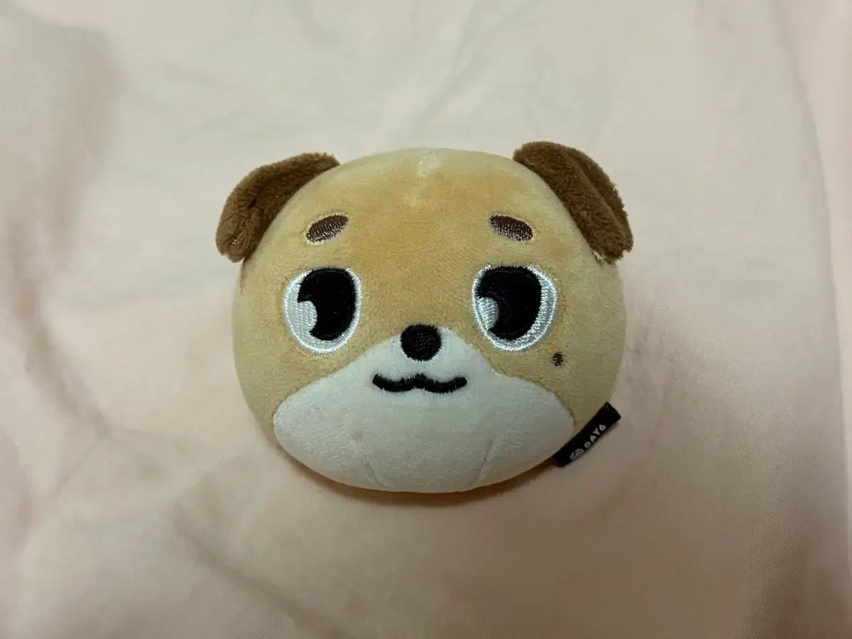 DAY6（デイシックス） ドウン(DOWOON) デニマルズ(DENIMALZ) ドン