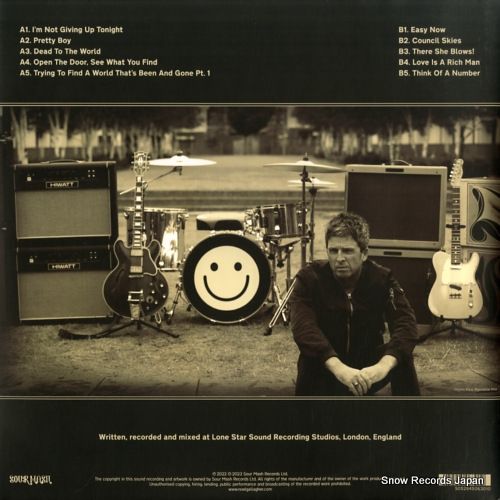 レコード】ノエル・ギャラガー council skies JDNCLP63 - メルカリ